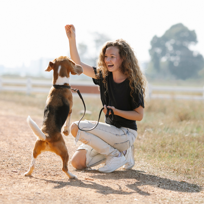Shouting at your dog increases the likelihood of grief, according to a recent study.