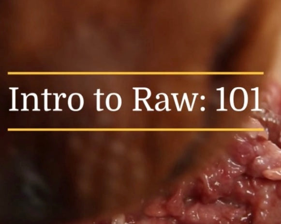 Eps 1: What is RAW DOG FOOD?
