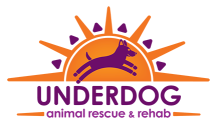 Underdog Animal Rescue & Rehab Donation (Utah)