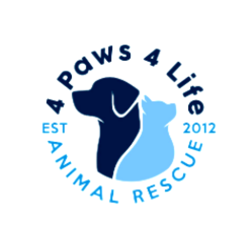 4 Paws 4 Life Animal Rescue (Colorado)